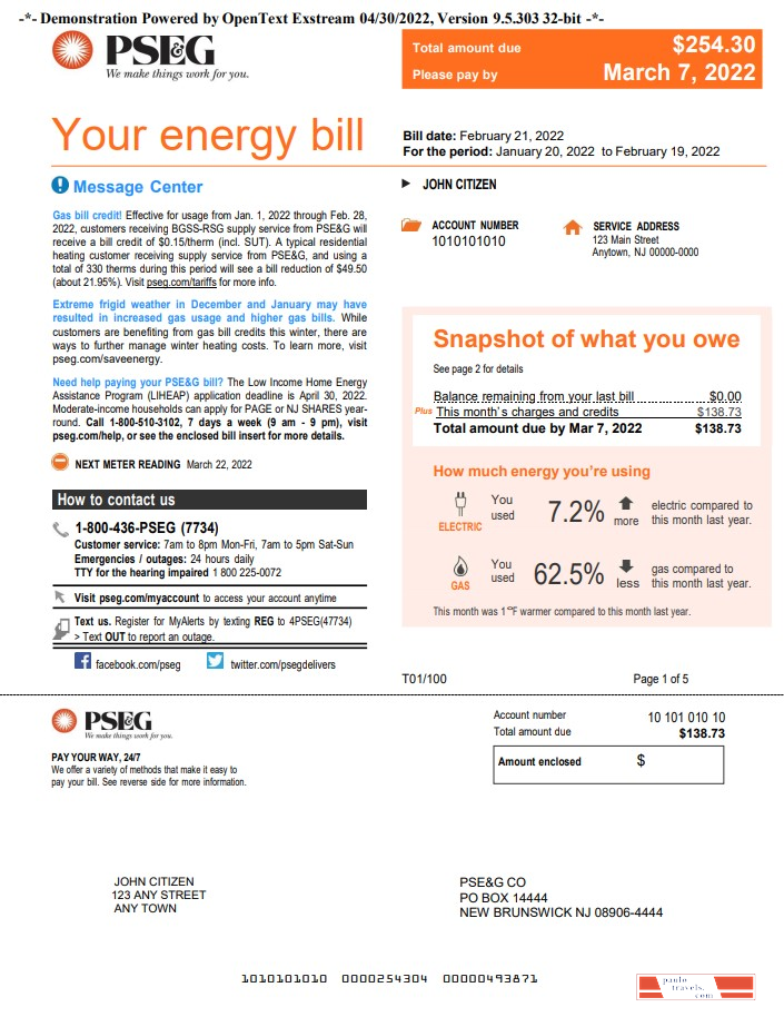USA New York PSEG utility bill, Word and PDF template, 5 pages 1